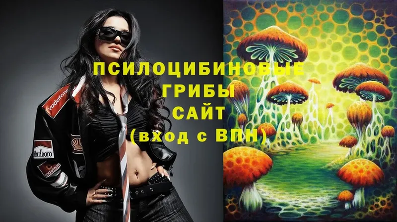 Псилоцибиновые грибы GOLDEN TEACHER  OMG   Заозёрск 